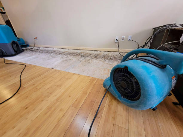 Professional Flood Damage Cleanup technician working in Malvern, AL